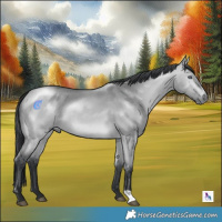 Horse Color:Bay Chinchilla Dun Rabicano 