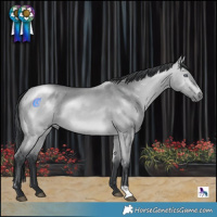 Horse Color:Bay Chinchilla Dun Rabicano 