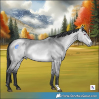Horse Color:Bay Chinchilla Dun Rabicano 