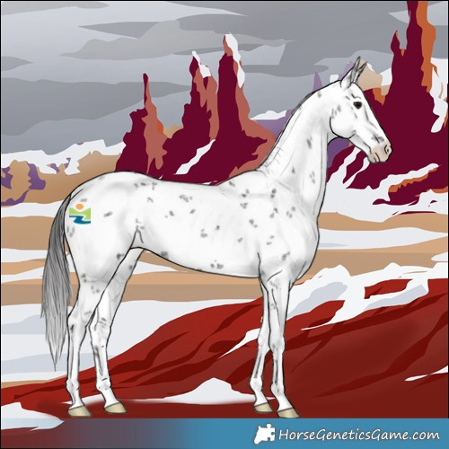 Horse Color:White Spotted Smoky Black Sabino 