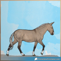 Horse Color:Silver Brown Dun 