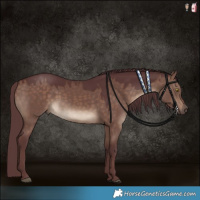 Horse Color:Chocolate Brown Dun 