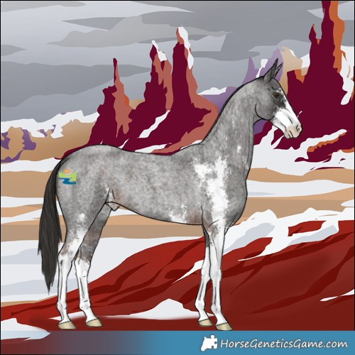 Horse Color:Liver Red Roan Sabino 