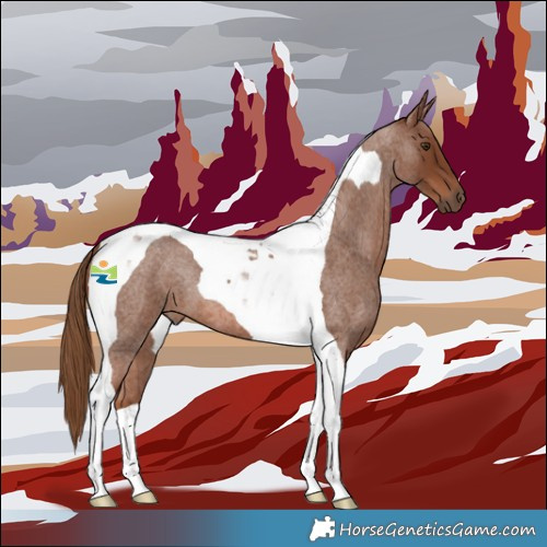 Horse Color:Red Roan Tobiano 