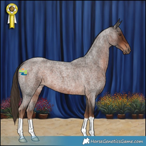 Horse Color:Liver Red Roan 