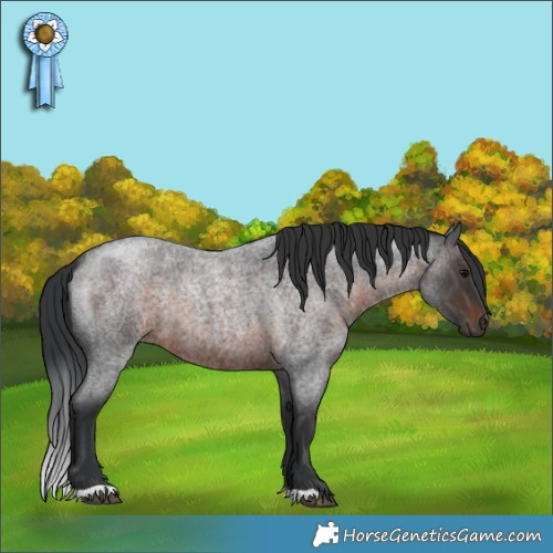 Horse Color:Brown Roan 