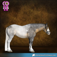 Horse Color:Silver Buckskin Roan Sabino 