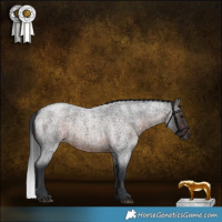 Horse Color:Brown Roan 
