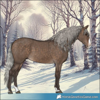Horse Color:Silver Brown Dun Splash 