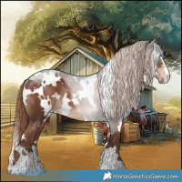 Horse Color:White Spotted Liver Chestnut 