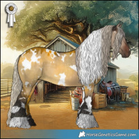 Horse Color:White Spotted Silver Brown Dun 