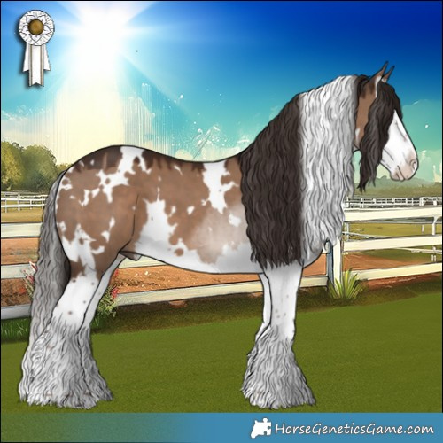 Horse Color:White Spotted Liver Red Dun Splash 