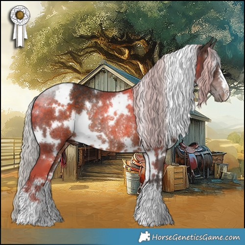 Horse Color:White Spotted Silver Brown Rabicano 
