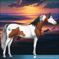 Horse Color:Bay Splash Tobiano 