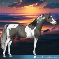 Horse Color:Grullo Splash Tobiano Rabicano 