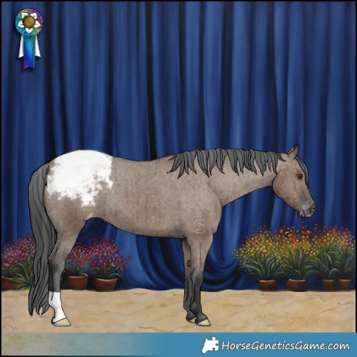 Horse Color:Liver Red Dun Varnish Brindle 