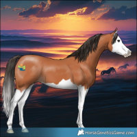 Horse Color:Bay Splash 