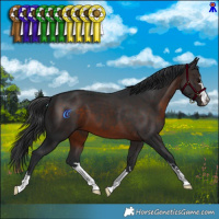 Horse Color:Brown 