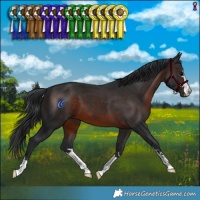 Horse Color:Brown 