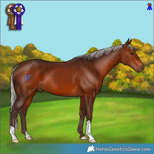 Horse Color:Silver Brown 