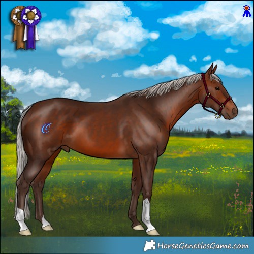 Horse Color:Silver Brown 