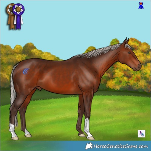 Horse Color:Silver Brown 