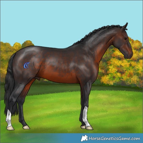 Horse Color:Brown 