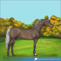 Horse Color:Silver Brown Dun 