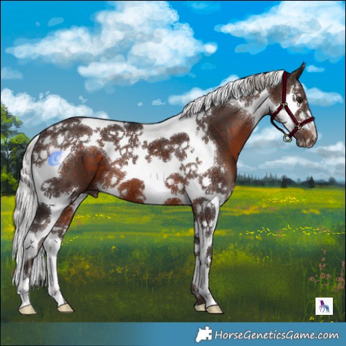 Horse Color:Silver Brown Mushroom Splash Tobiano 