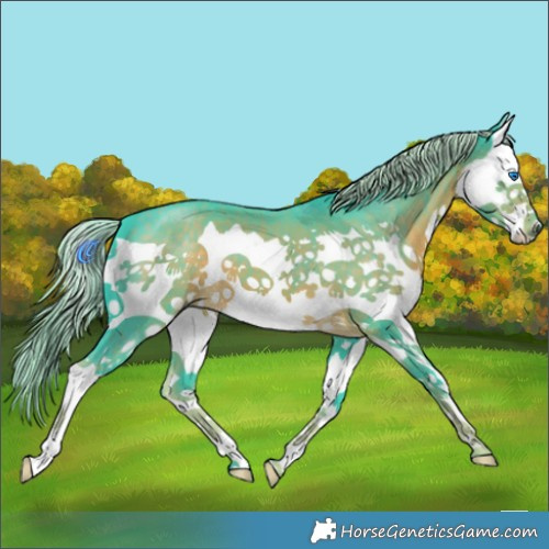Horse Color:Watercolor Chocolate Palomino Splash