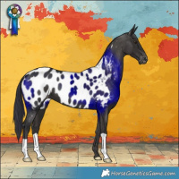 Horse Color:Liver Chestnut Blanket 