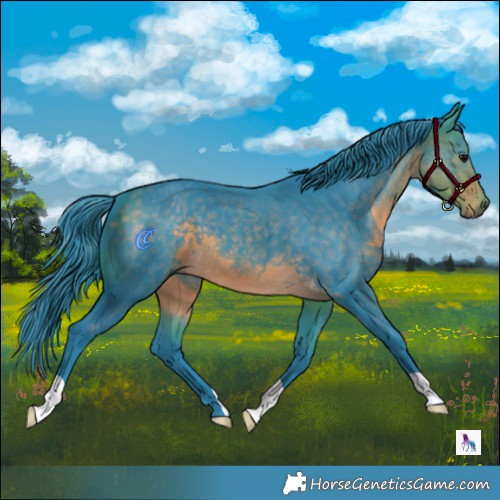 Horse Color:Watercolor Buckskin 