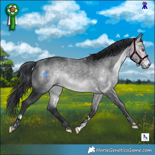 Horse Color:Brown Chinchilla 