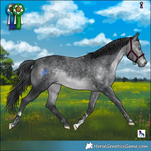 Horse Color:Brown Chinchilla 