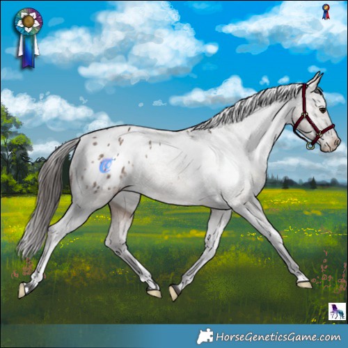 Horse Color:Brown Dun Blanket 