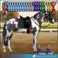Horse Color:White Spotted Brown 
