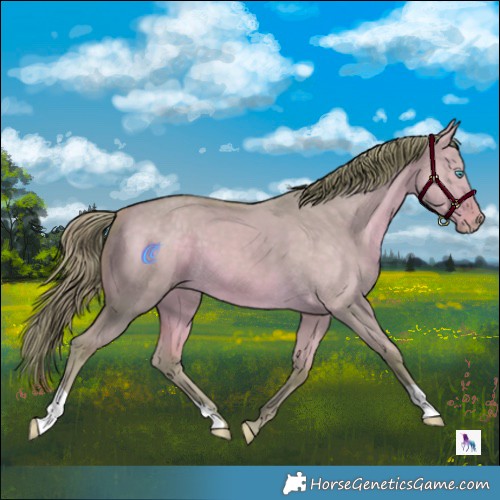 Horse Color:Watercolor Perlino Dun 