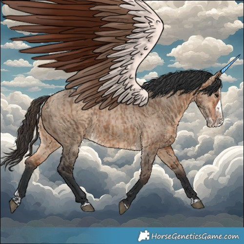 Horse Color:Bay Dun and Bay Dun Splash