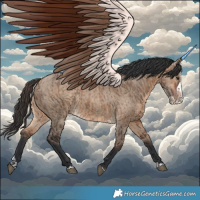 Horse Color:Bay Dun and Bay Dun Splash