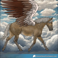 Horse Color:Silver Buckskin Dun