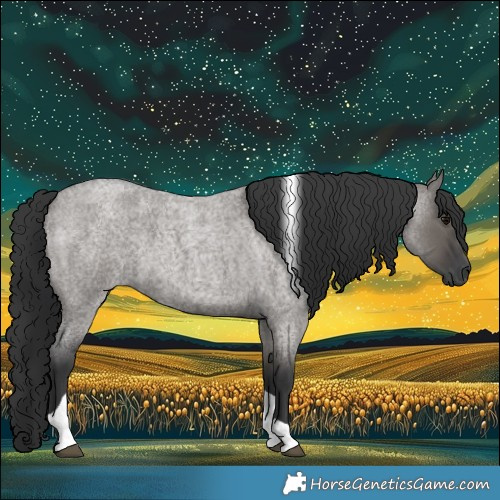 Horse Color:Grullo Roan Tobiano 