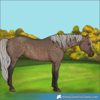 Horse Color:Silver Brown Dun