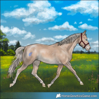 Horse Color:Cremello Rabicano 
