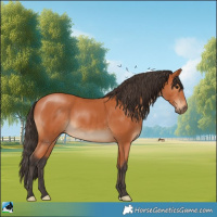 Horse Color:Bay Rabicano 