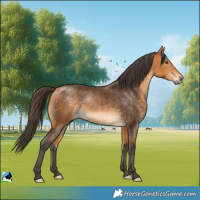 Horse Color:Buckskin Mushroom Rabicano 