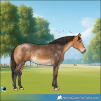 Horse Color:Buckskin Mushroom Rabicano 