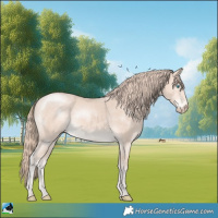Horse Color:Perlino Mushroom Rabicano 