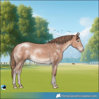 Horse Color:Perlino Mushroom Rabicano 