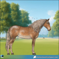 Horse Color:Chocolate Palomino Rabicano