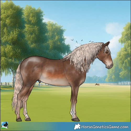 Horse Color:Chestnut Mushroom Sabino Rabicano 